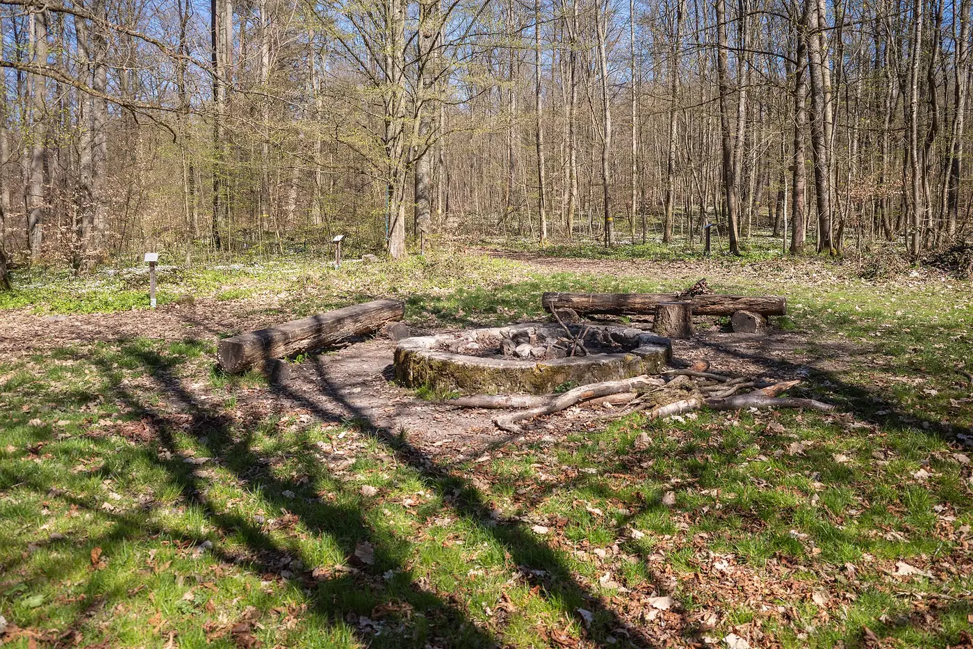 Trekkingplatz Steinknuck im Wald mit Feuerstelle und Sitzbalken